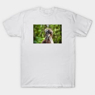 Rooster 3 / Swiss Artwork Photography T-Shirt